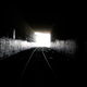 Image for article titled Researchers Detect Intense Brain Activity In Rats After They're Dead